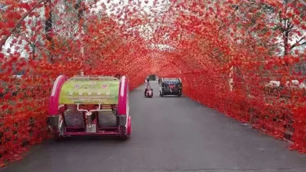 1534326414128363.jpg 640-4.jpg