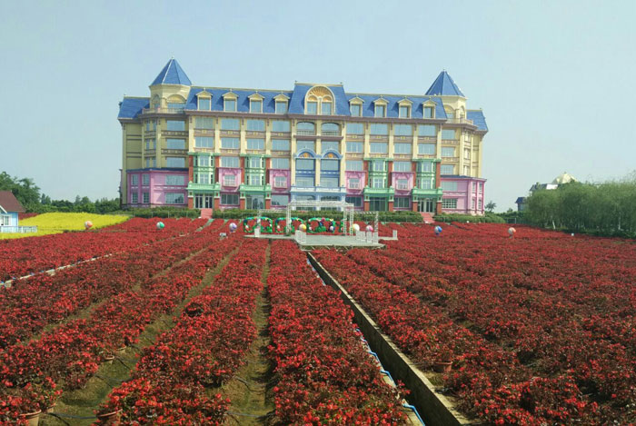 百万葵园-bsport体育