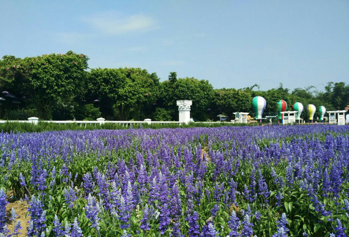 百万葵园-bsport体育